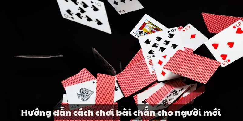 Hướng dẫn cách chơi bài chắn cho người mới